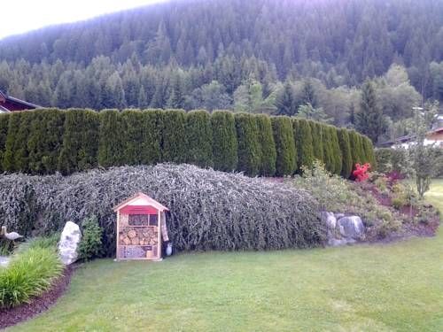 Outdoor Pictures 18