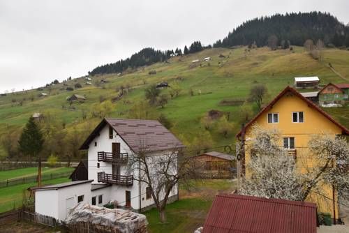 Outdoor Pictures 23