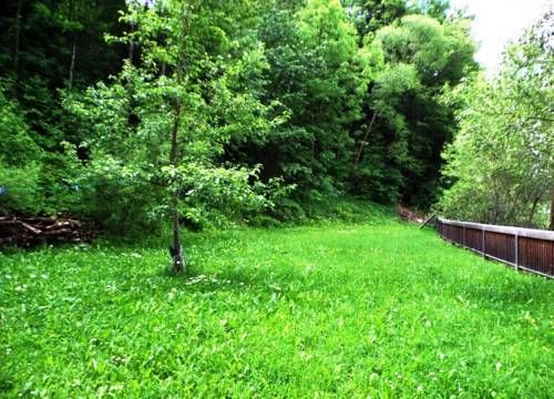 Outdoor Pictures 21