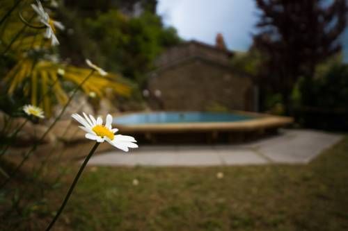 Outdoor Pictures 14