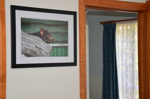 Outdoor Pictures 11