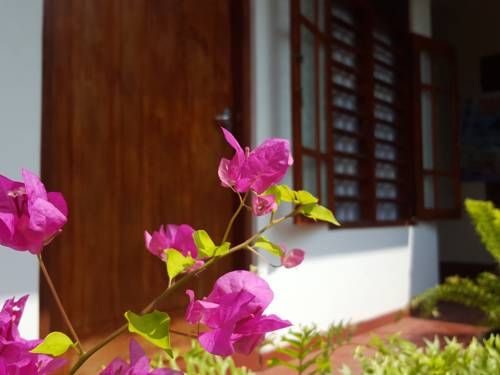 Outdoor Pictures 14