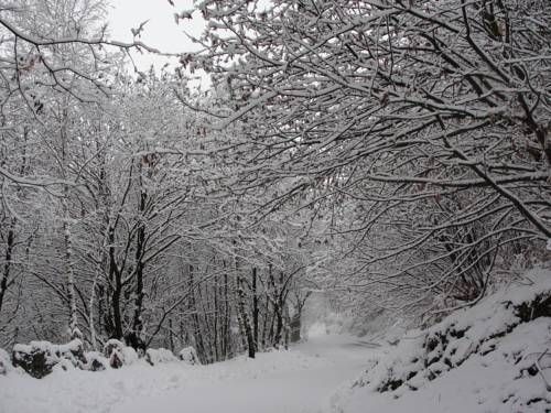 Outdoor Pictures 16