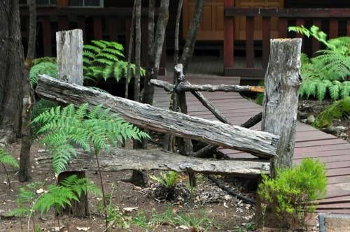 Outdoor Pictures 17