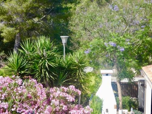 Outdoor Pictures 19