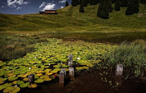 Outdoor Pictures 21