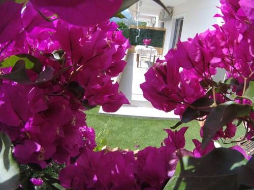 Outdoor Pictures 21