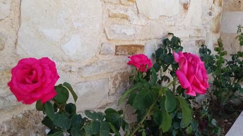 Outdoor Pictures 16