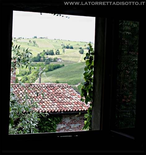 Outdoor Pictures 21