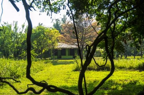 Outdoor Pictures 19
