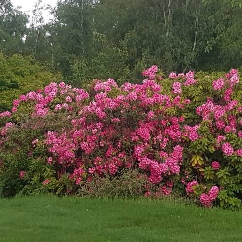 Outdoor Pictures 16