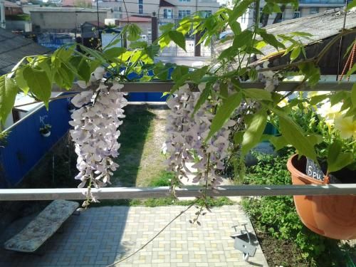 Outdoor Pictures 24