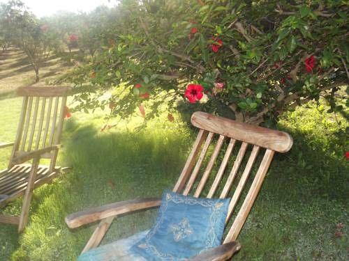 Outdoor Pictures 15
