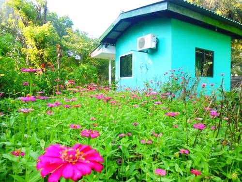 Outdoor Pictures 22