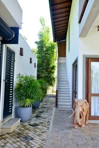 Outdoor Pictures 24
