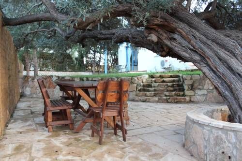 Outdoor Pictures 12