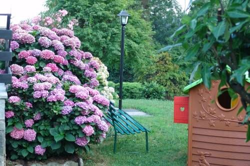 Outdoor Pictures 16