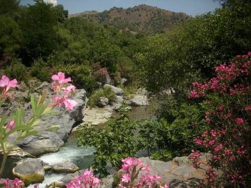 Outdoor Pictures 9