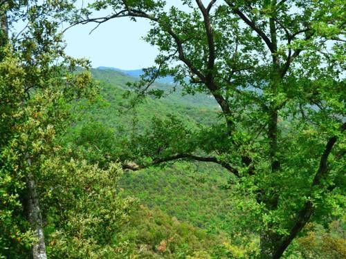 Outdoor Pictures 19