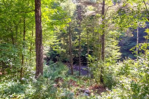 Outdoor Pictures 20