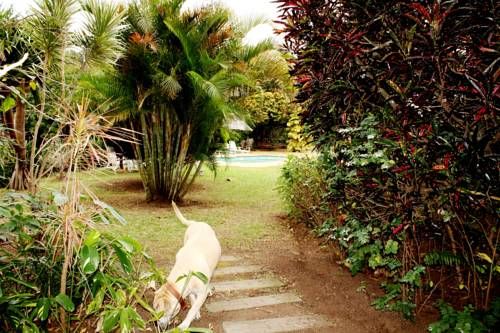 Outdoor Pictures 18