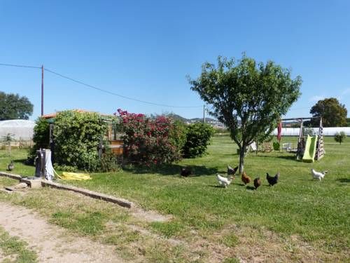 Outdoor Pictures 22