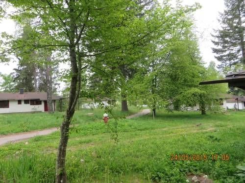 Outdoor Pictures 16
