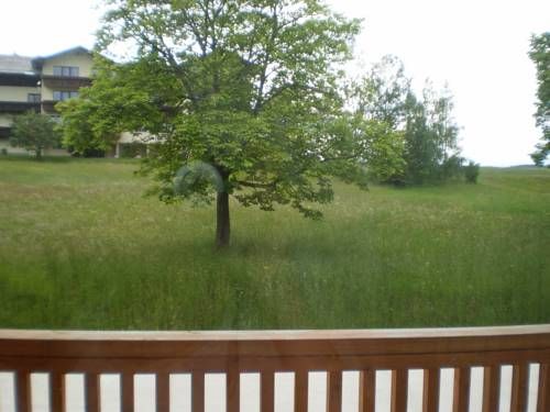 Outdoor Pictures 19