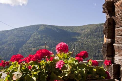 Outdoor Pictures 15