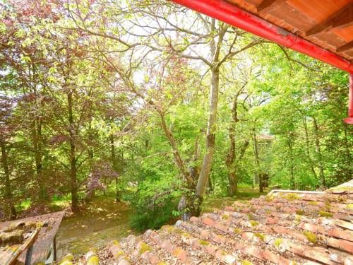 Outdoor Pictures 24