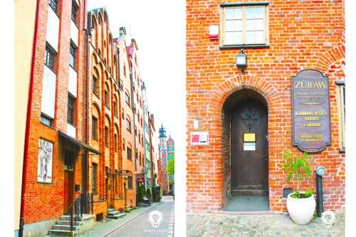 Apartament White Lions