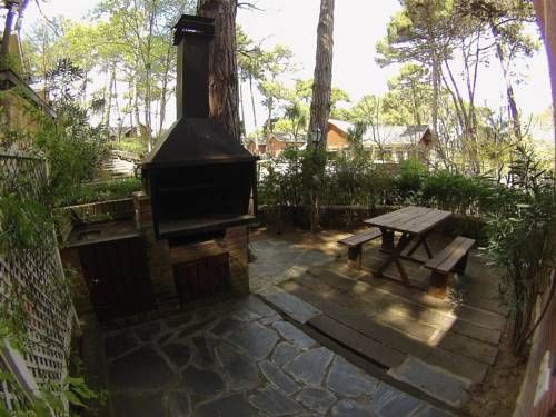 Outdoor Pictures 9