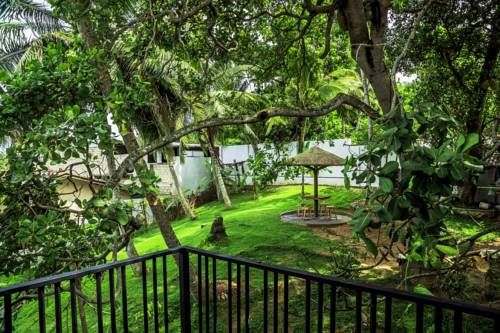 Outdoor Pictures 24