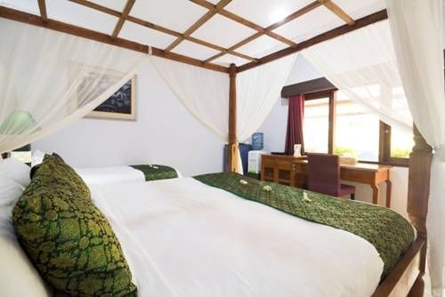 NOMAD TROPICAL