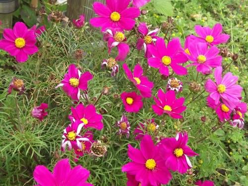 Outdoor Pictures 22