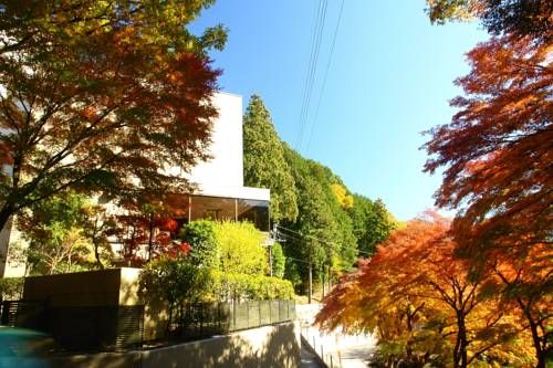 Outdoor Pictures 15