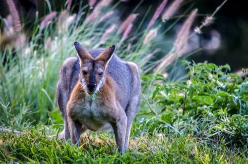 Outdoor Pictures 22