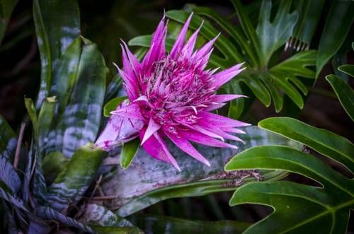 Outdoor Pictures 21