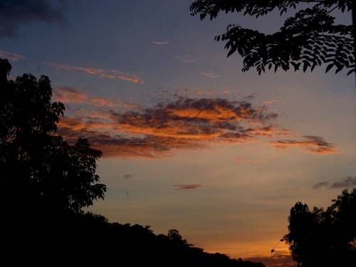 Outdoor Pictures 17
