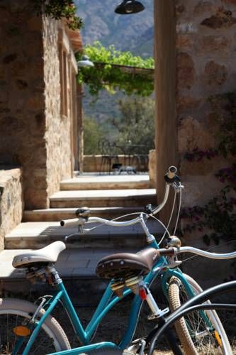 Outdoor Pictures 24