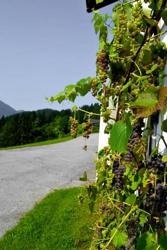 Outdoor Pictures 21