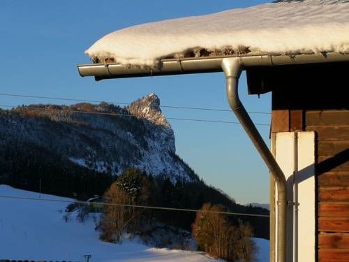 Outdoor Pictures 21
