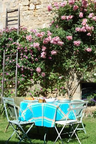 Outdoor Pictures 24