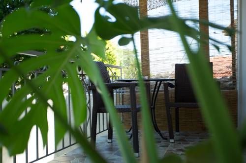 Outdoor Pictures 23