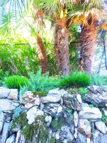 Outdoor Pictures 21