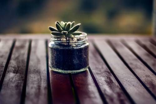 Outdoor Pictures 22