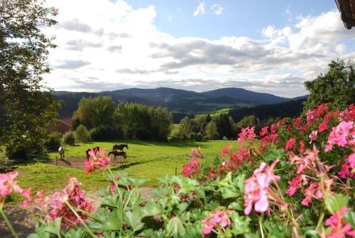Outdoor Pictures 22