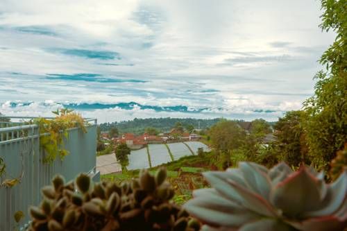 Outdoor Pictures 15