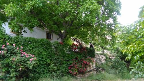 Outdoor Pictures 6