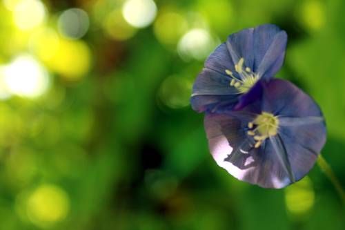 Outdoor Pictures 20